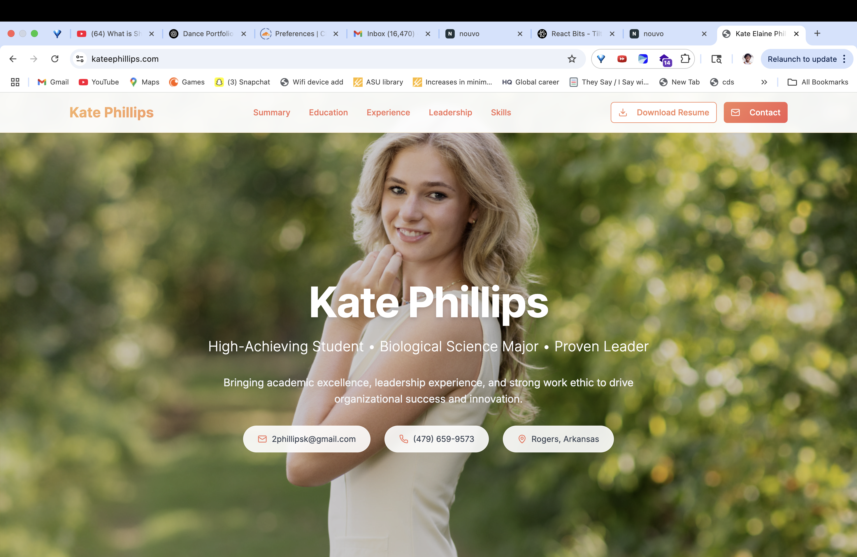 Kate Phillips Resume Website